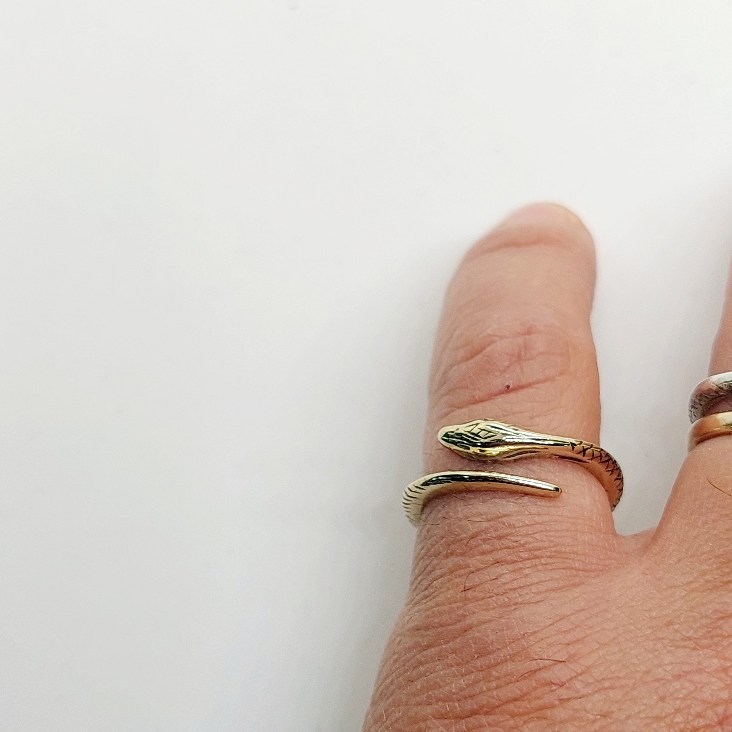 Ring Snake Brass