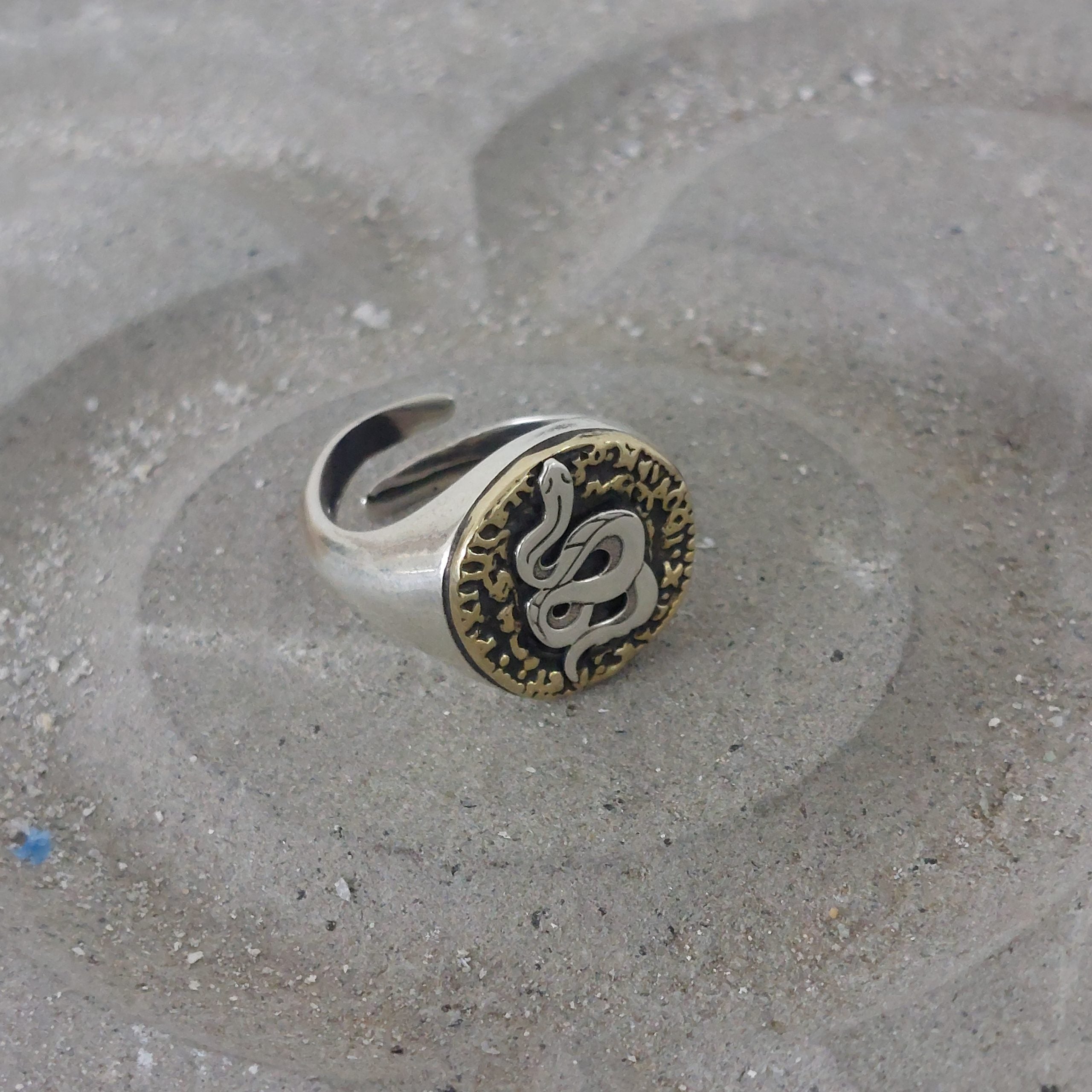 Ring Old Snake