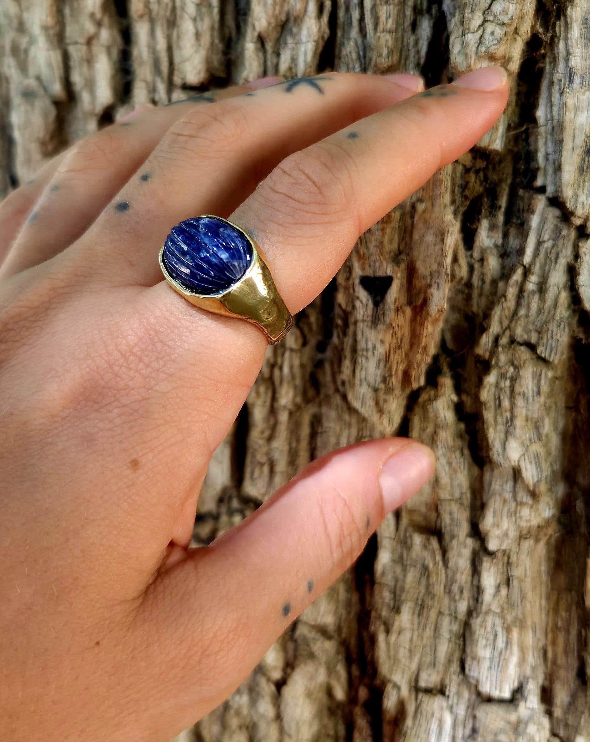 Nusa Ring