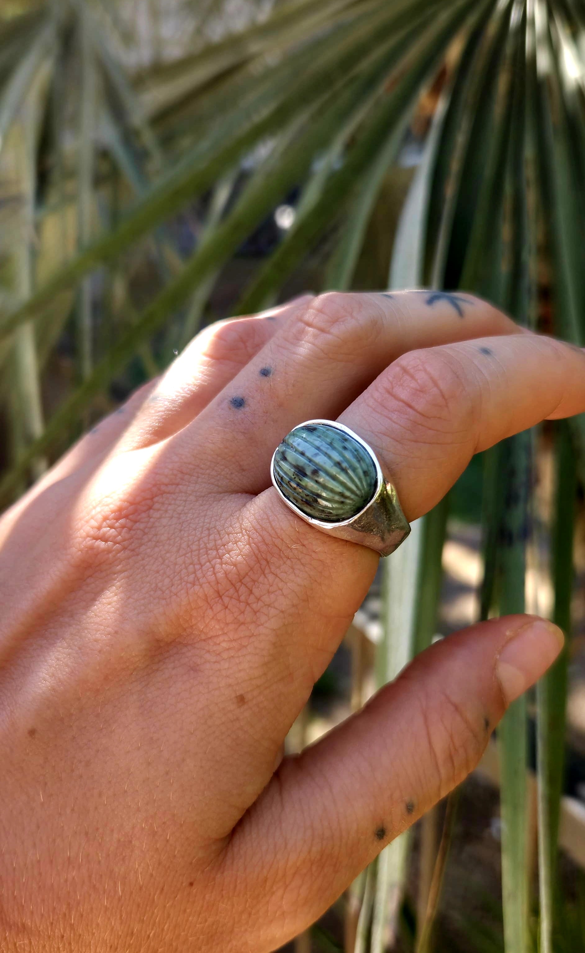 Anillo Java