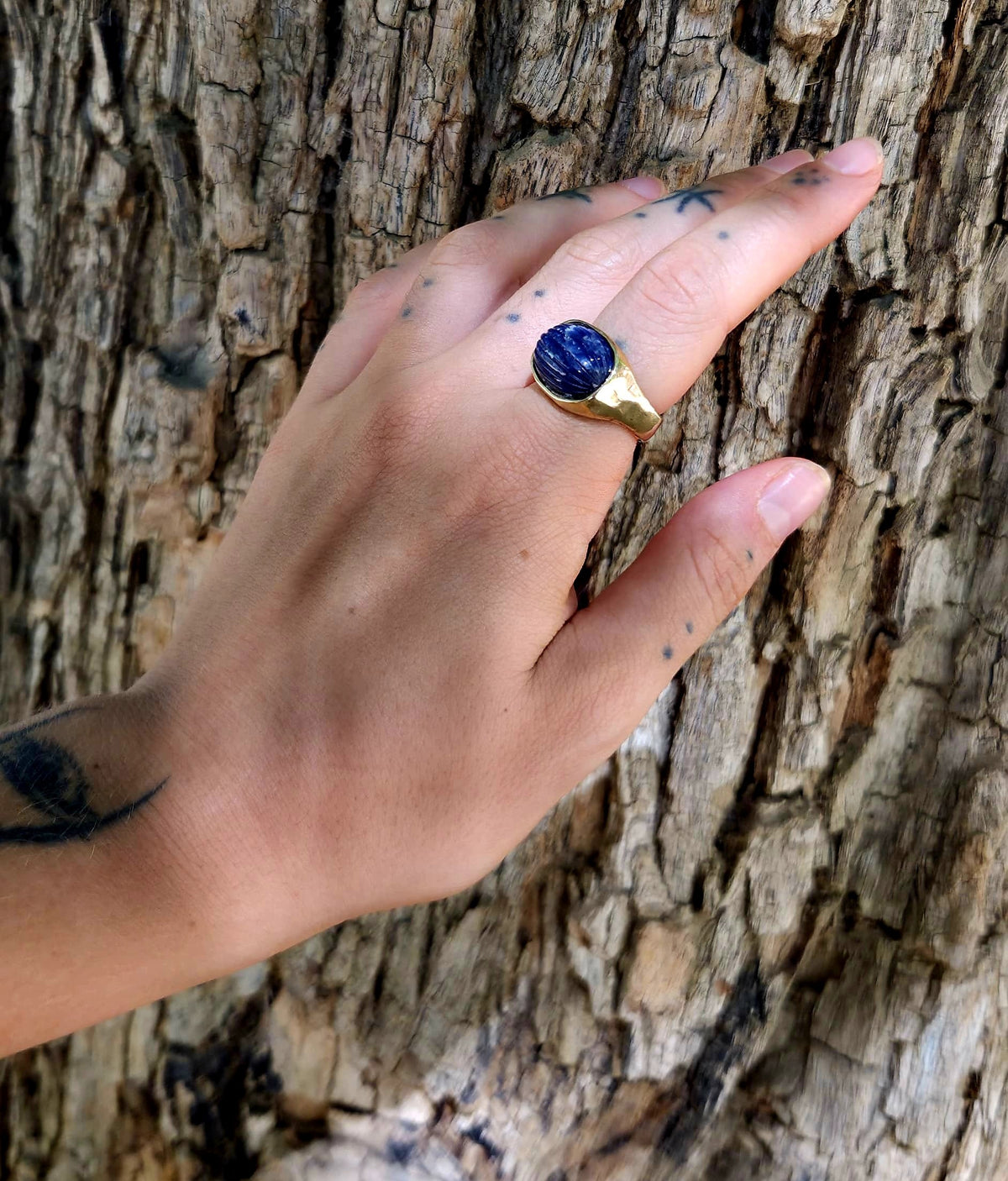Nusa Ring